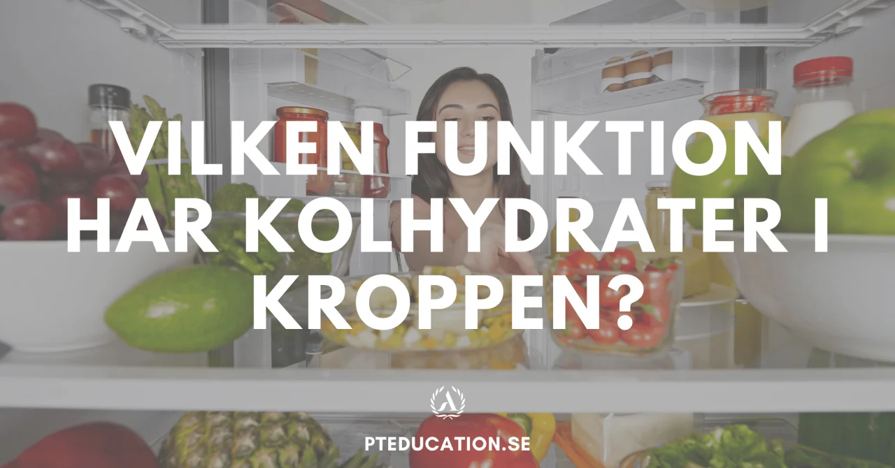 Varför behöver vi kolhydrater?